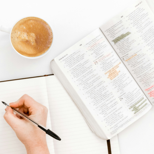 BibleStudy